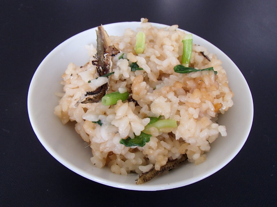 ねぎごはん