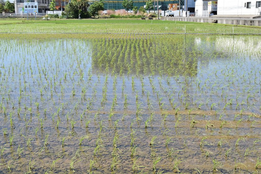 今年は高密度に挑戦します。