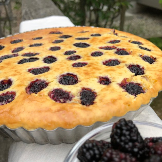 ブラックベリーの米粉チーズケーキ トピックス Ja福井県