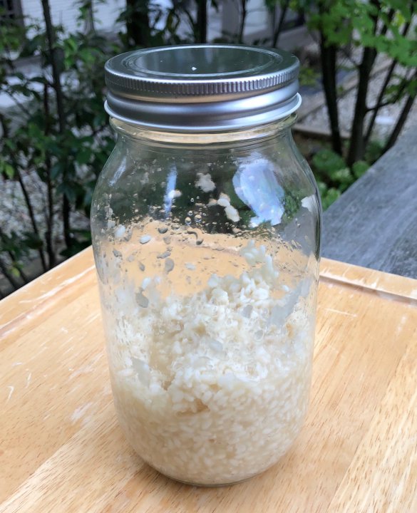 玉ねぎ麹