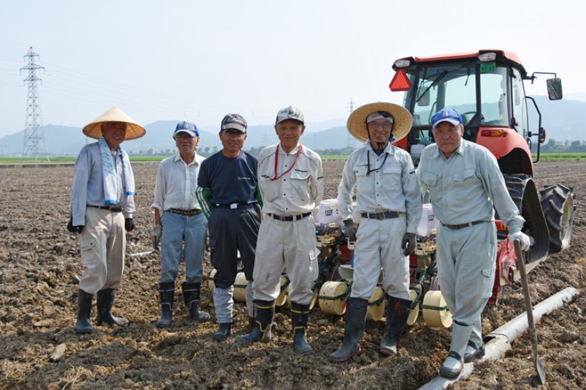 この日作業にあたっていた、農事組合法人そんぼの皆さん