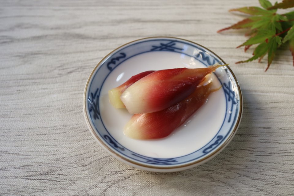みょうがの甘酢漬け