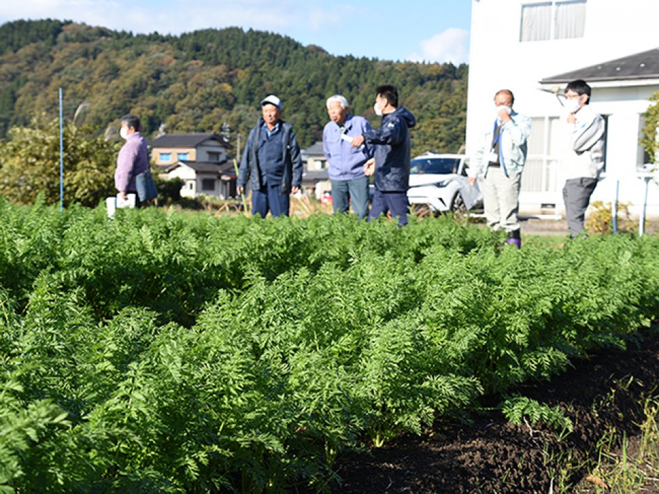 令和2年産ニンジン目揃え会