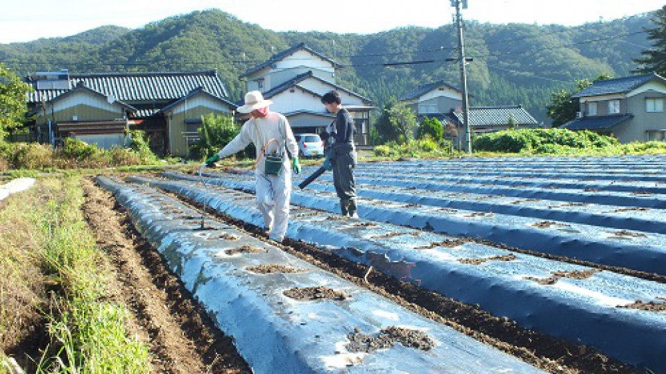 ４年前に転職・水田園芸に取組む黒田創一朗さん