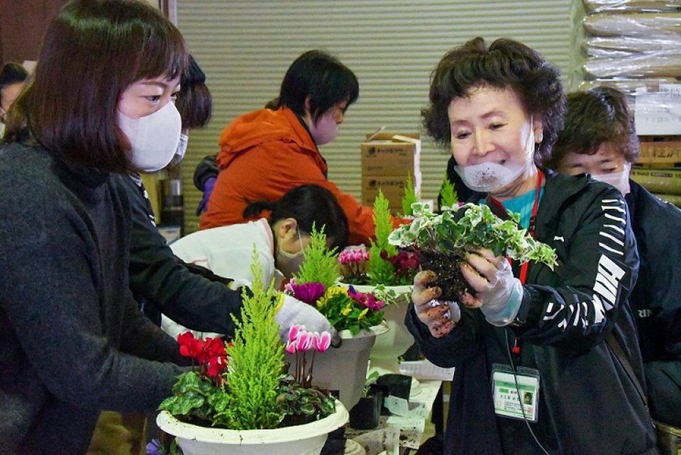 クリスマス寄せ植えにチャレンジ