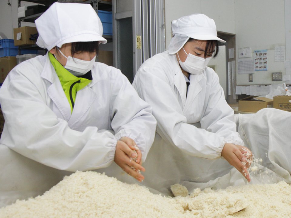 高校生が企業実習