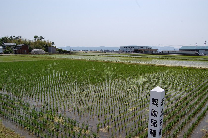 撮影日　５月