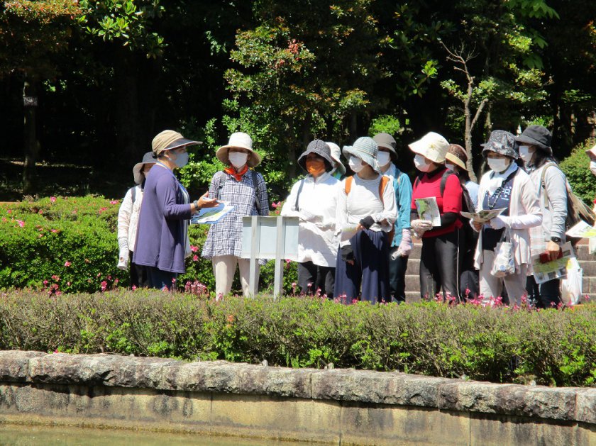福井県総合グリーンセンター内の樹木や花を観察しながら歩く参加者