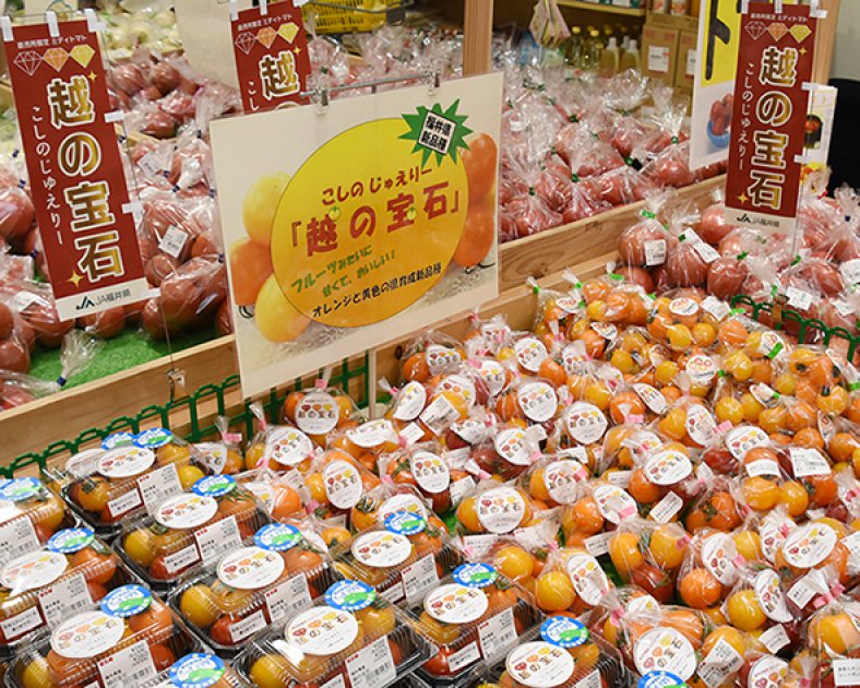 喜ね舎 愛菜館での売り場のようす