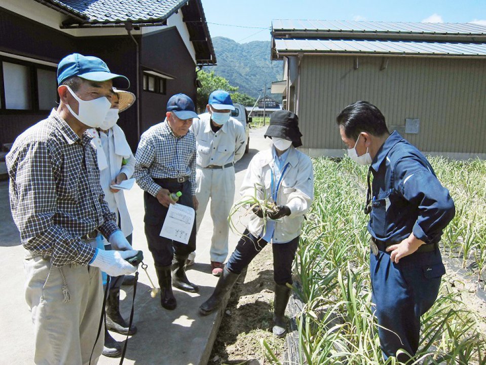 上志比ニンニク目揃え会