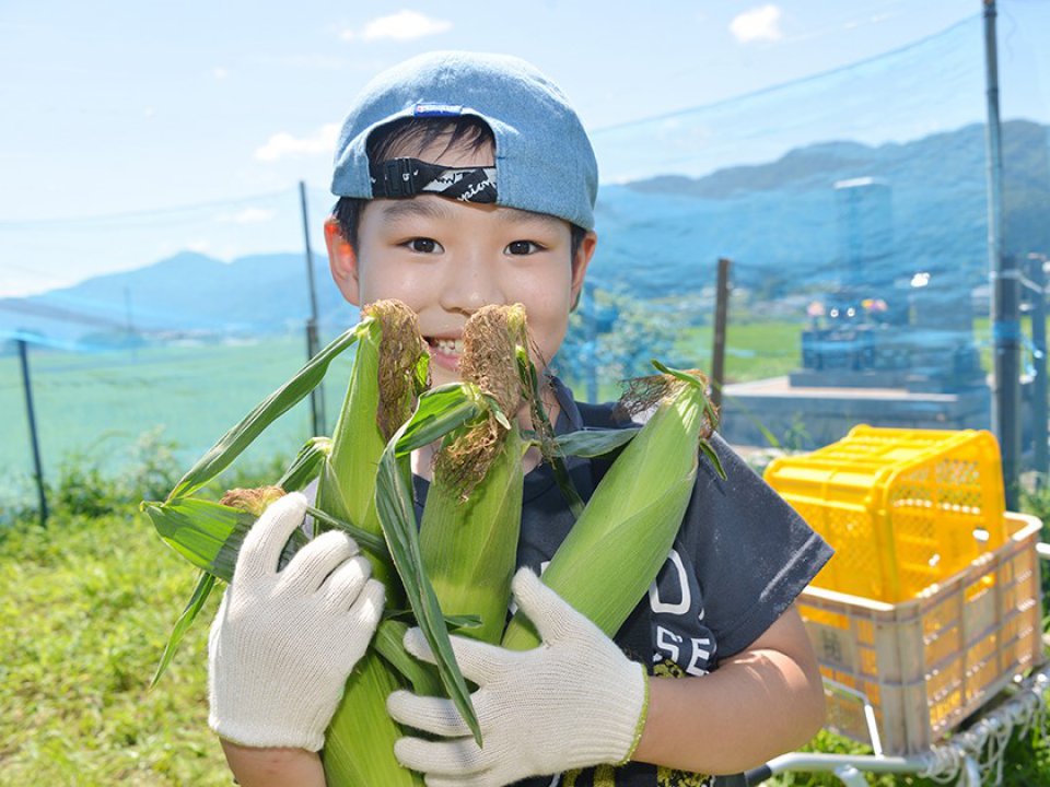 地元ラジオ局ＦＭ福井とコラボ企画「永平寺町産スイートコーン収穫体験」