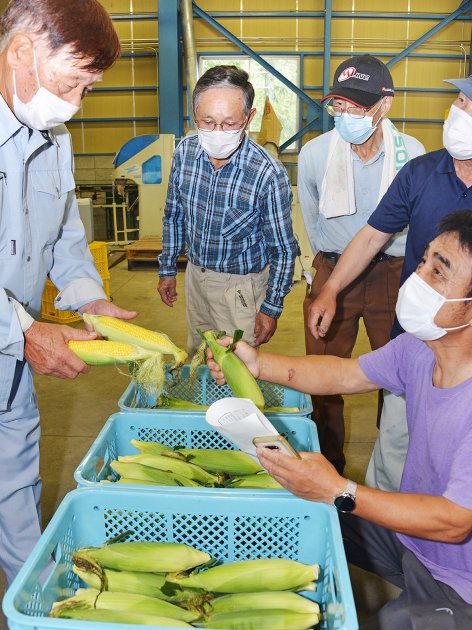 実際にスイートコーンを手に取って出荷規格を確認する参加者たち（ＪＡ永平寺支店で）