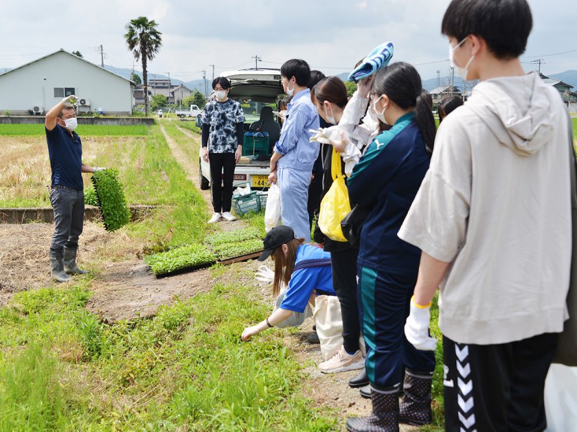 JA福井基幹支店営農部営農指導課の担当者㊧が栽培方法などについて説明するようす