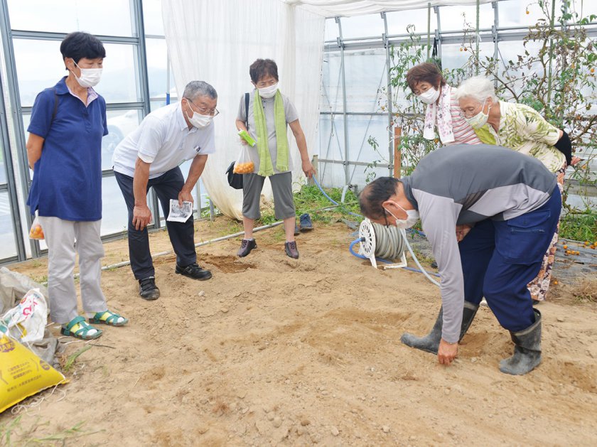 参加者の前でスイートコーンの播種作業を実演してみせるＪＡ園芸特産振興担当の嶋田奥左ェ門顧問（写真㊨）