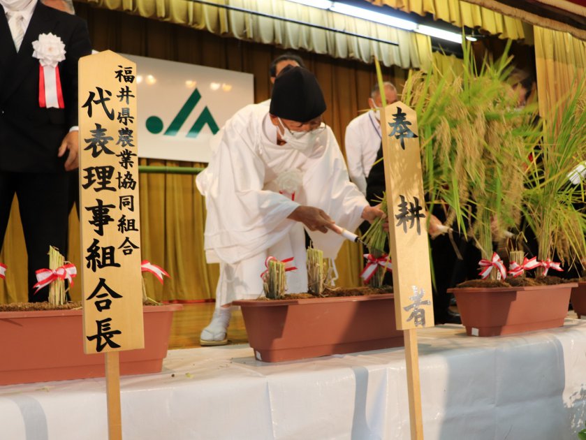 奉耕者の竹内さんが丁寧に稲穂を刈り取りました