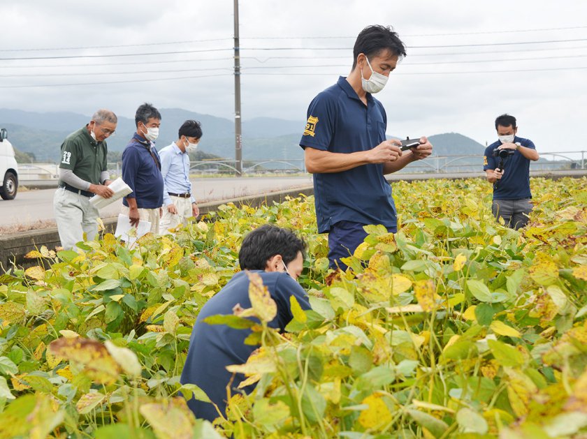 区分集荷対象圃場を巡回し栽培管理方法や生育状況を確認するＪＡ福井基幹支店大豆部会委員と営農指導員ら