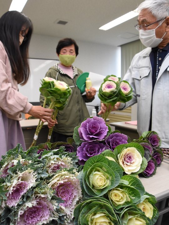 高志地区花卉出荷組合ハボタン目揃え会