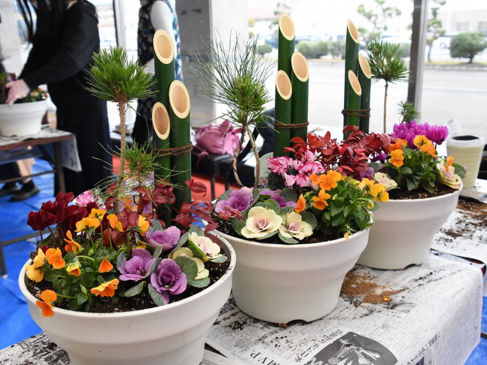 クリスマスや正月を飾る寄せ植えづくりに挑戦