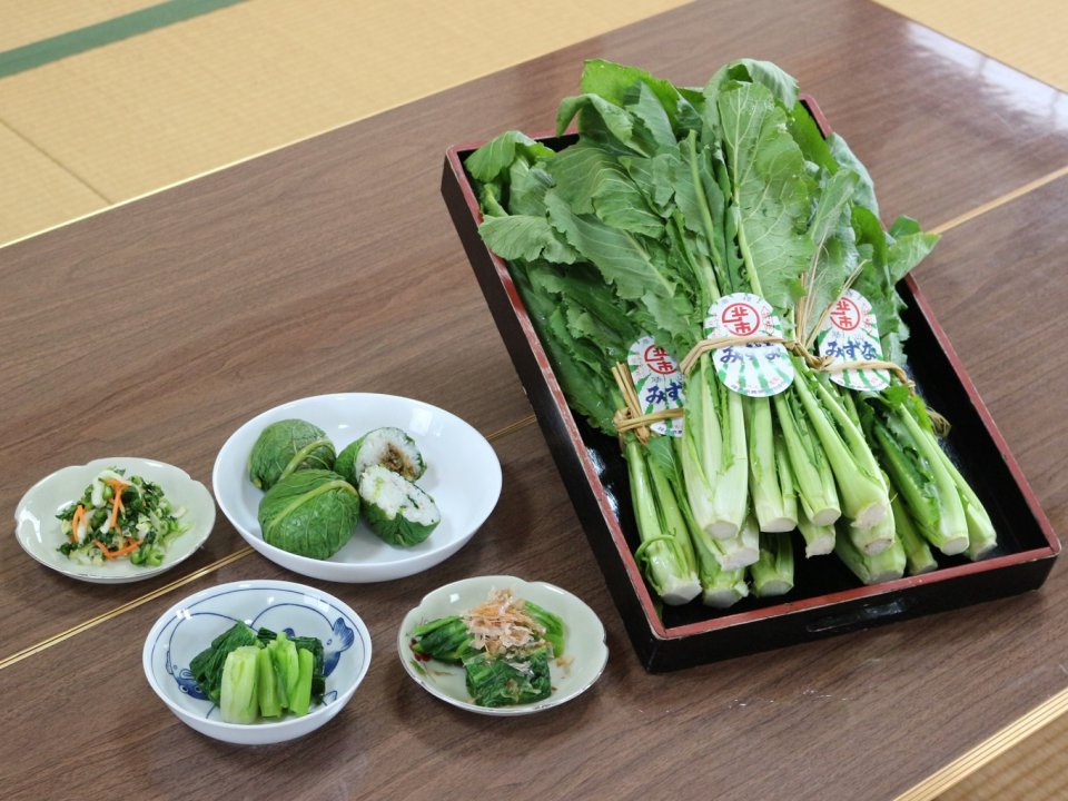 あぐラジ第22回目「勝山水菜」