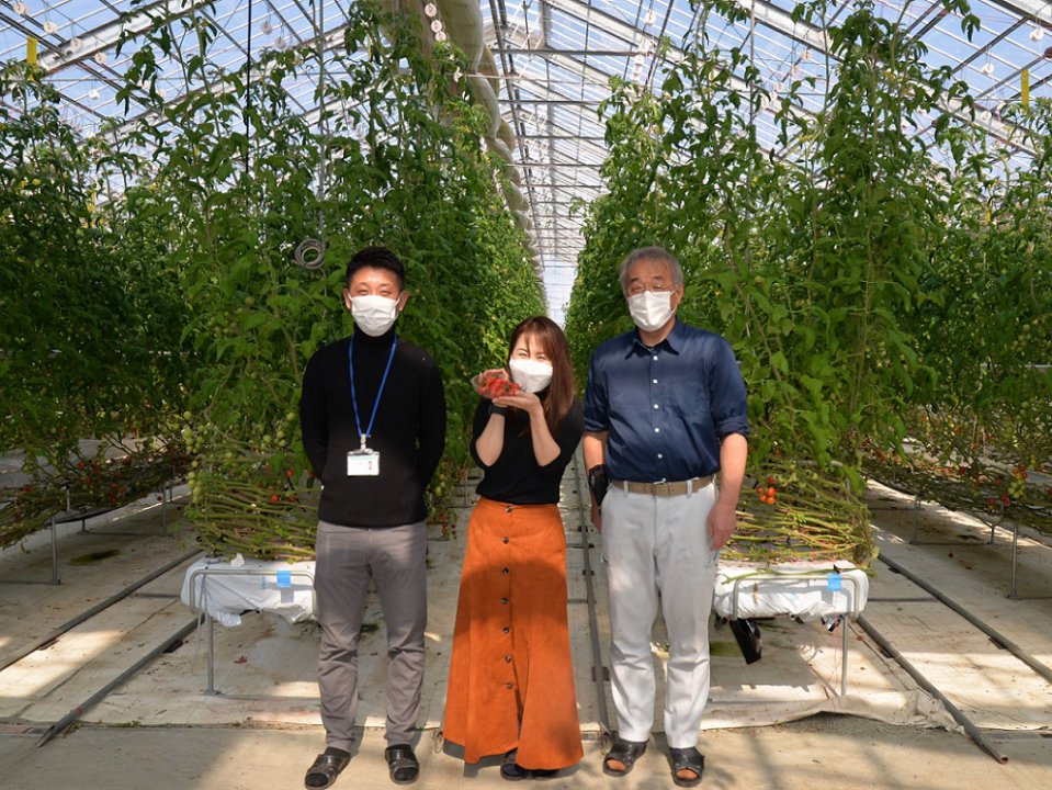 あぐラジ第23回目「ミディトマト」「宮崎たけのこ水煮」