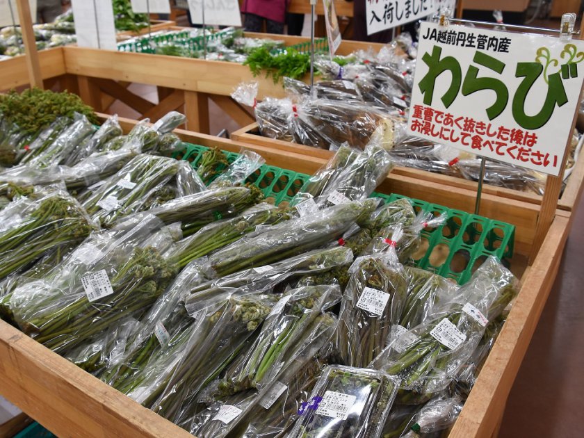 店頭にずらりと並ぶ山菜