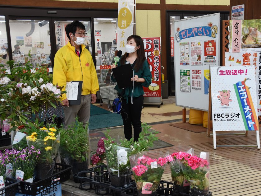 丹生膳野菜について紹介する上野店長㊧