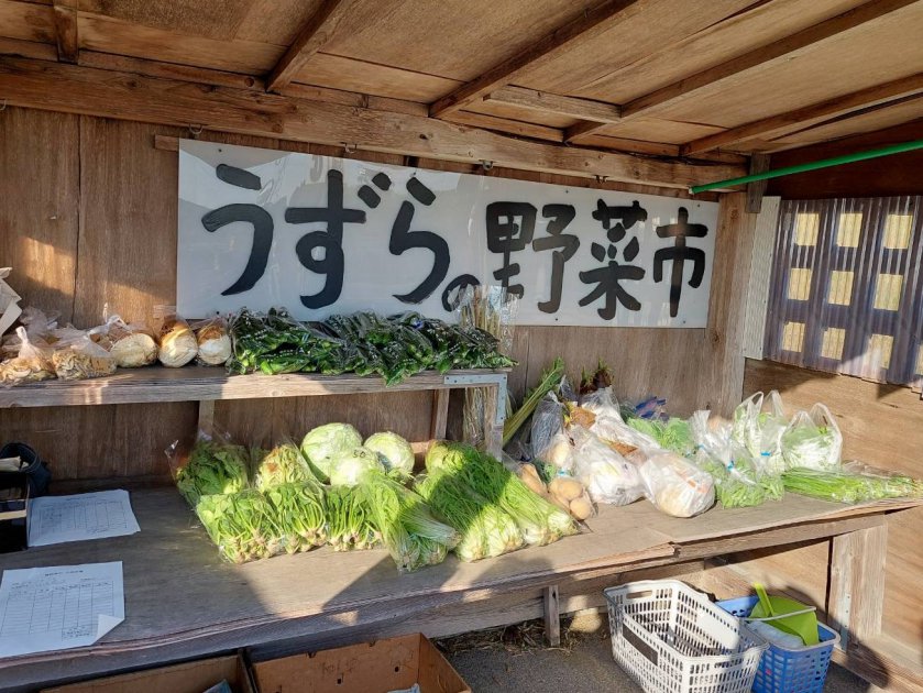 地元産の採れたて新鮮な野菜が店頭に並びます