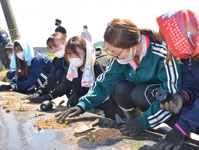 自分たちで育てたラッカセイの苗の定植作業に挑戦する福井製菓専門学校の生徒達