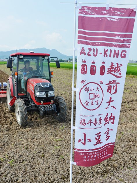 ＪＡ大納言小豆部会ののぼり旗を圃場に掲げ小豆の播種作業を行う同部会の前田尚之部会長（ＪＡ福井南部支店管内の圃場で）