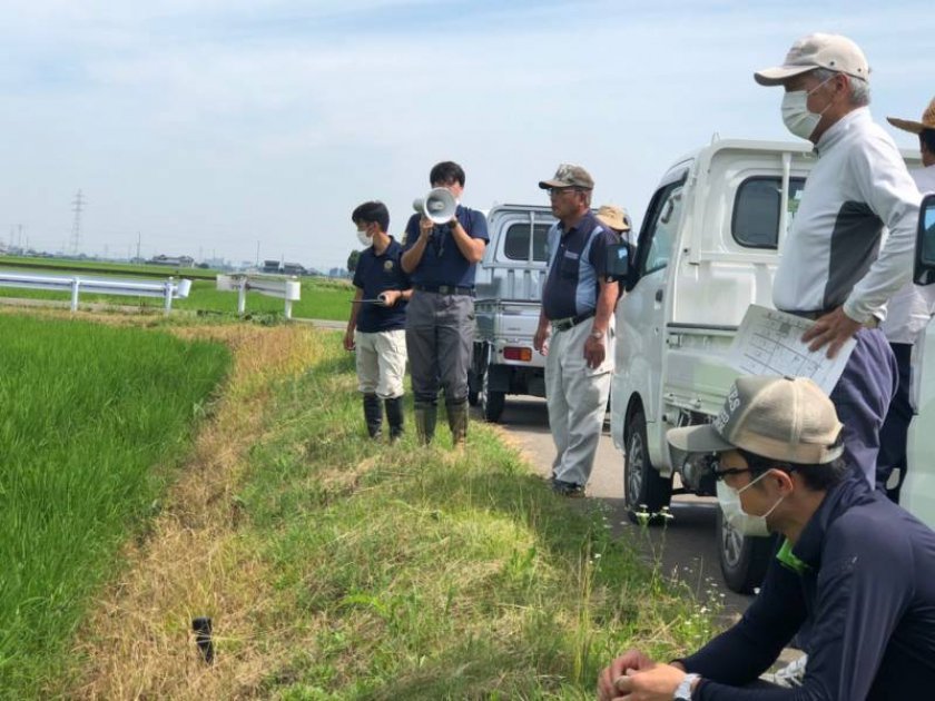 7月8日、圃場を巡回し生育状況を確認する参加者ら