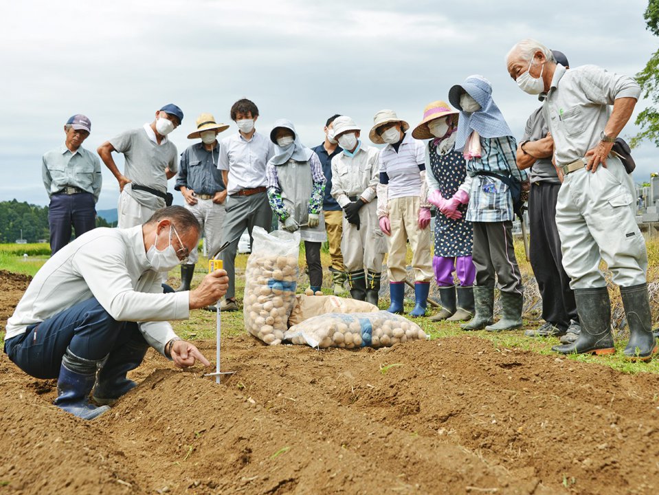 秋作ジャガイモ栽培研修会初開催