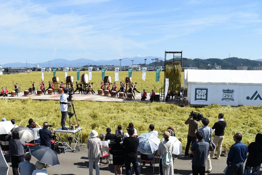 息がそろったパフォーマンスを披露する福井農林高等学校郷土芸能部「Taichi」の皆さま
