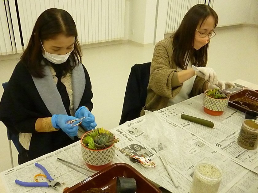 寄せ植えに挑戦するメンバー