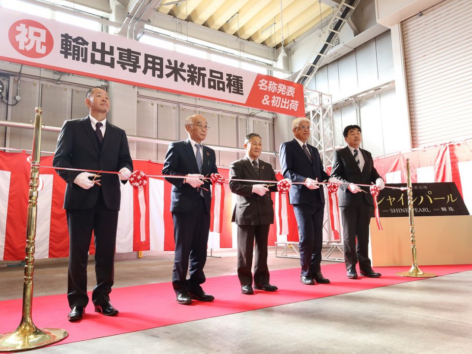 輸出専用米「シャインパール」初出荷