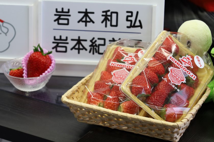 JA農産物直売所「ゆりいち」などで販売中です♪