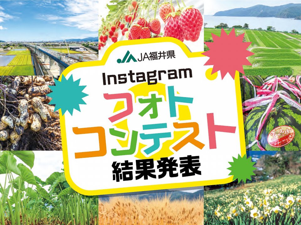インスタグラムフォトコンテスト結果発表