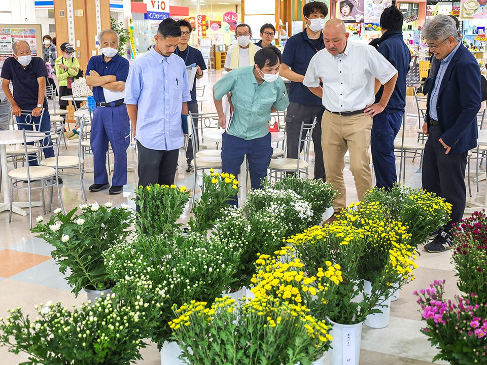 奥越切り花品評会