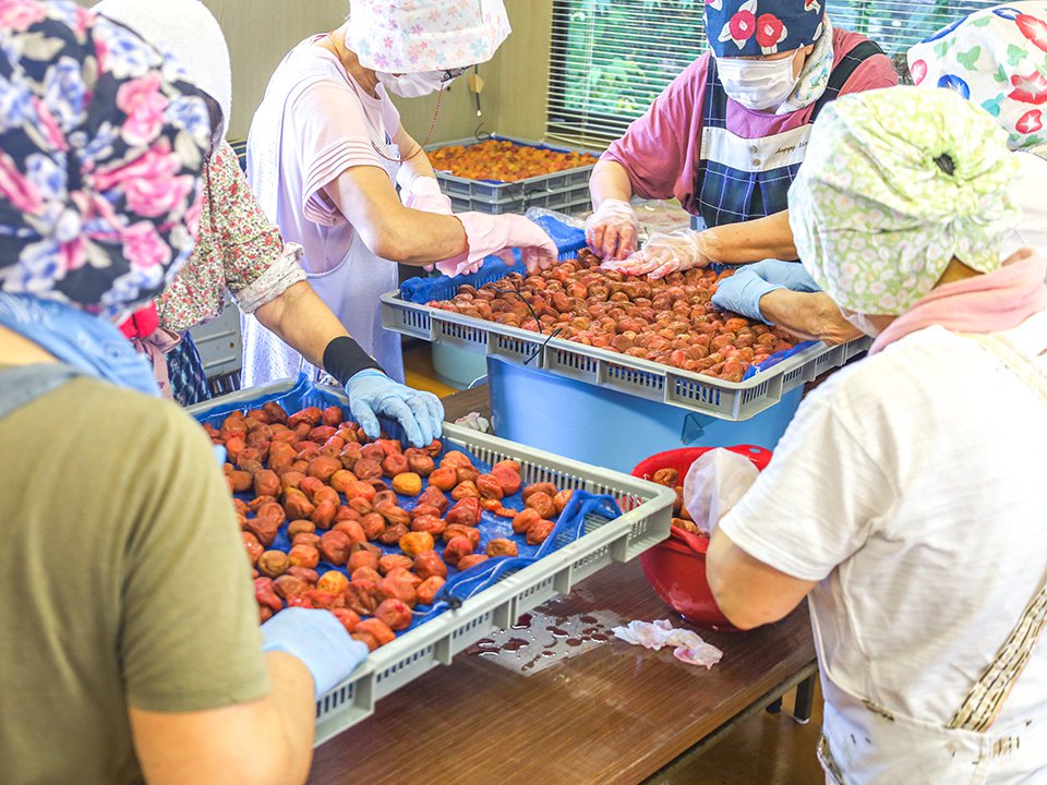 鷹巣で土用干し