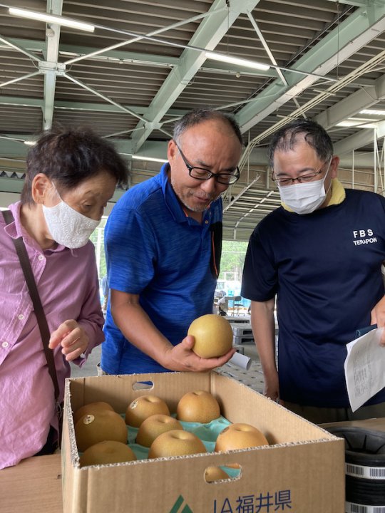 福井梨「豊水」出荷目ぞろえ会