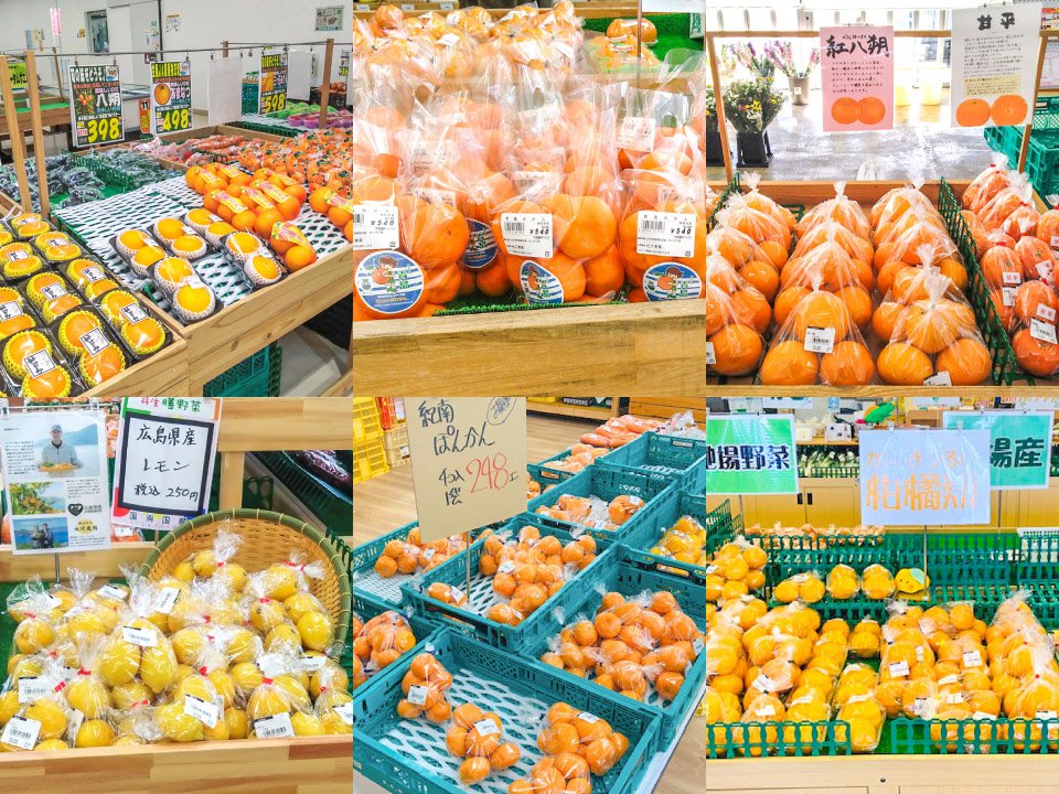 農産物直売所　柑橘販売強化期間！