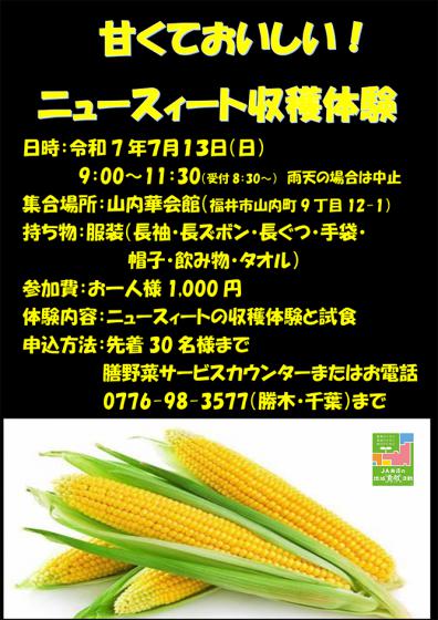 ニュースィート収穫体験チラシ