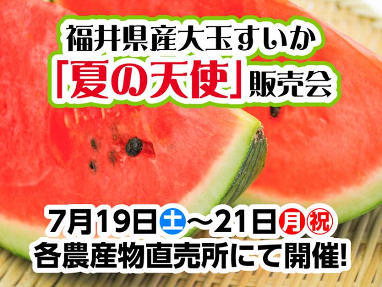 「夏の天使」販売会