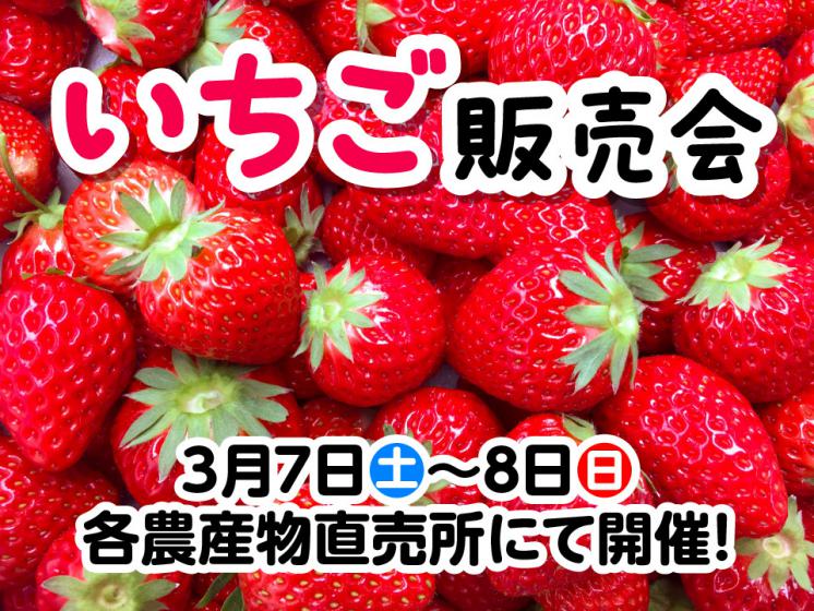 いちご販売会