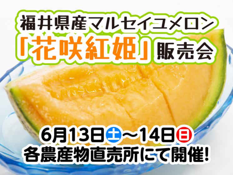 マルセイユメロン販売会