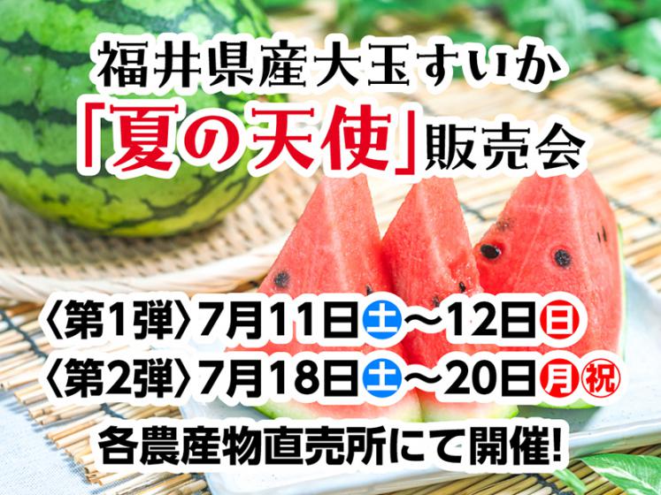 夏の天使販売会