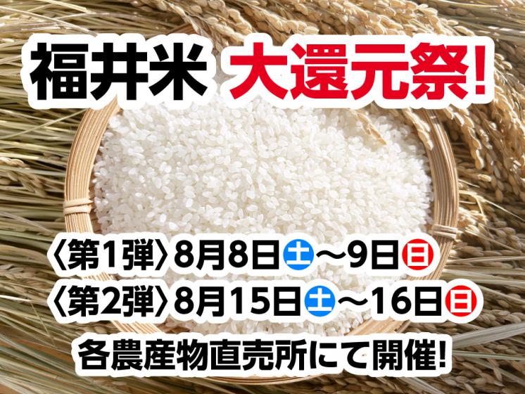 福井米大還元祭
