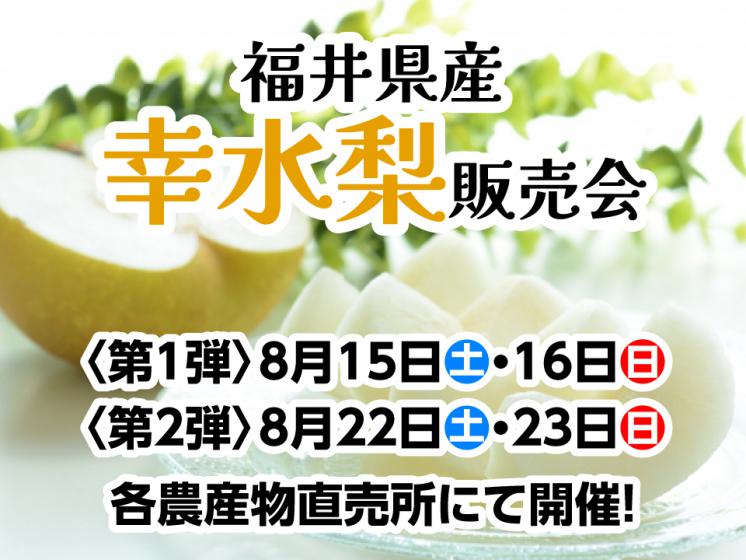 幸水梨