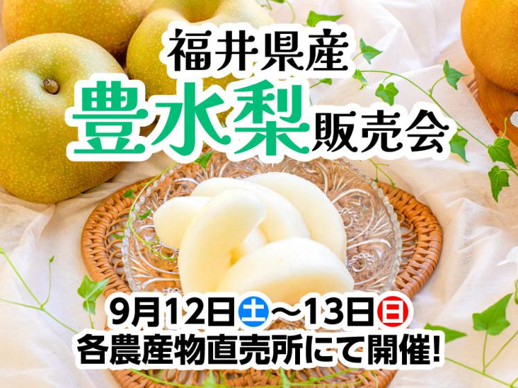 豊水梨