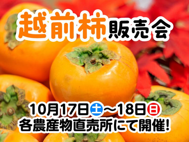 越前柿