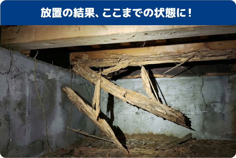 放置の結果、ここまでの状態に！